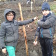 Mercredi 25 novembre, les enfants du centre de loisirs, accompagnés des agents de l’Office National des Forêts (ONF) et de jardiniers ont planté les arbres du verger pédagogiques du parc […]